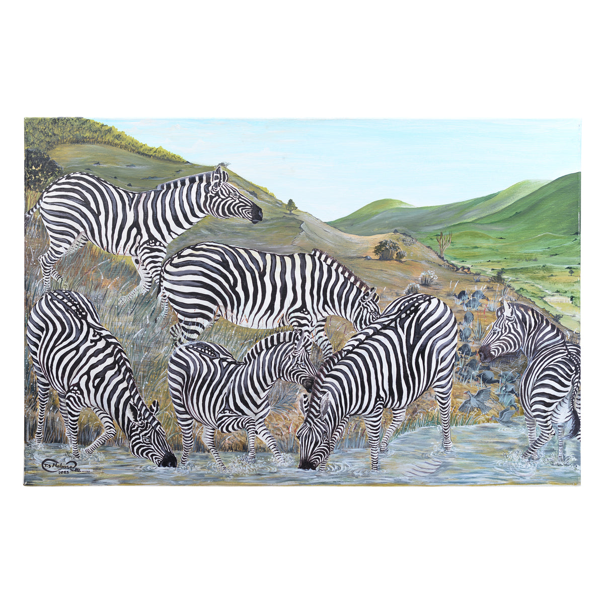 Zebra canvas