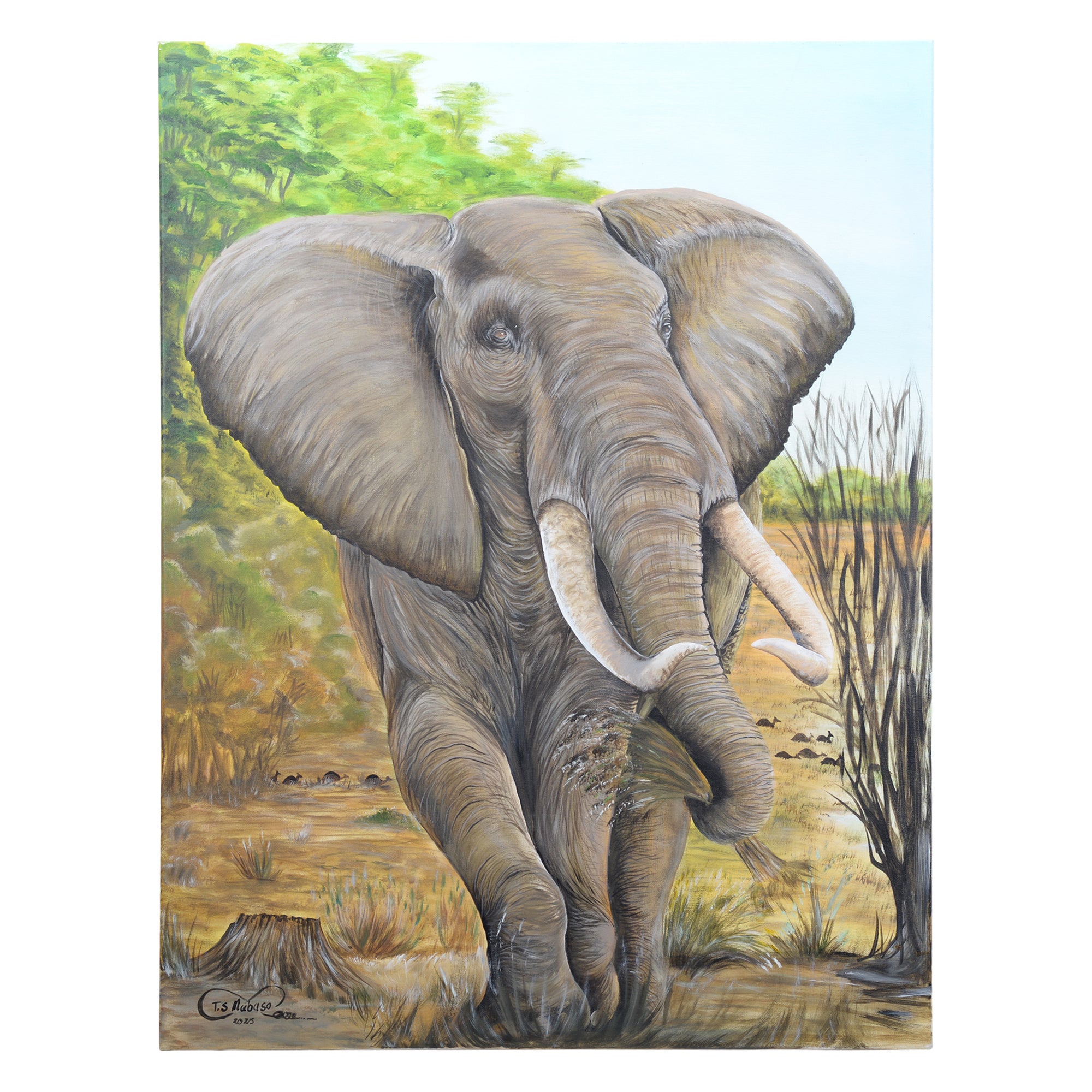 Elephant canvas