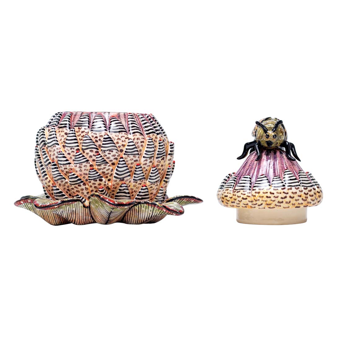 Protea, beetle jewelry box