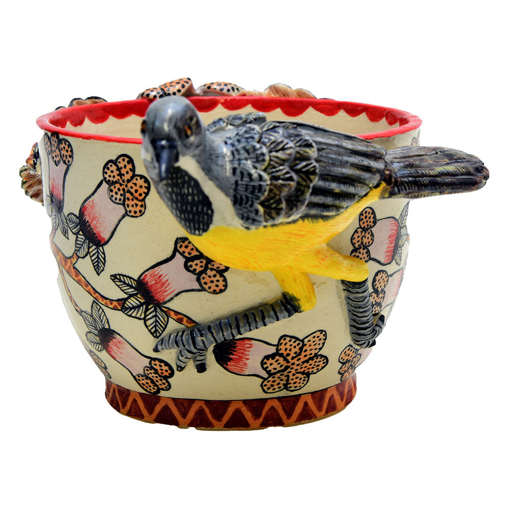 Bird bowl