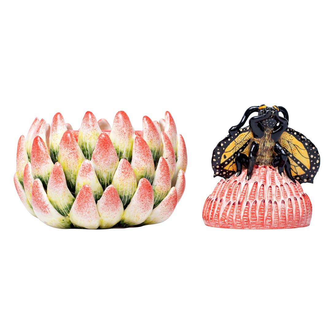 Protea, butterfly jewelry box