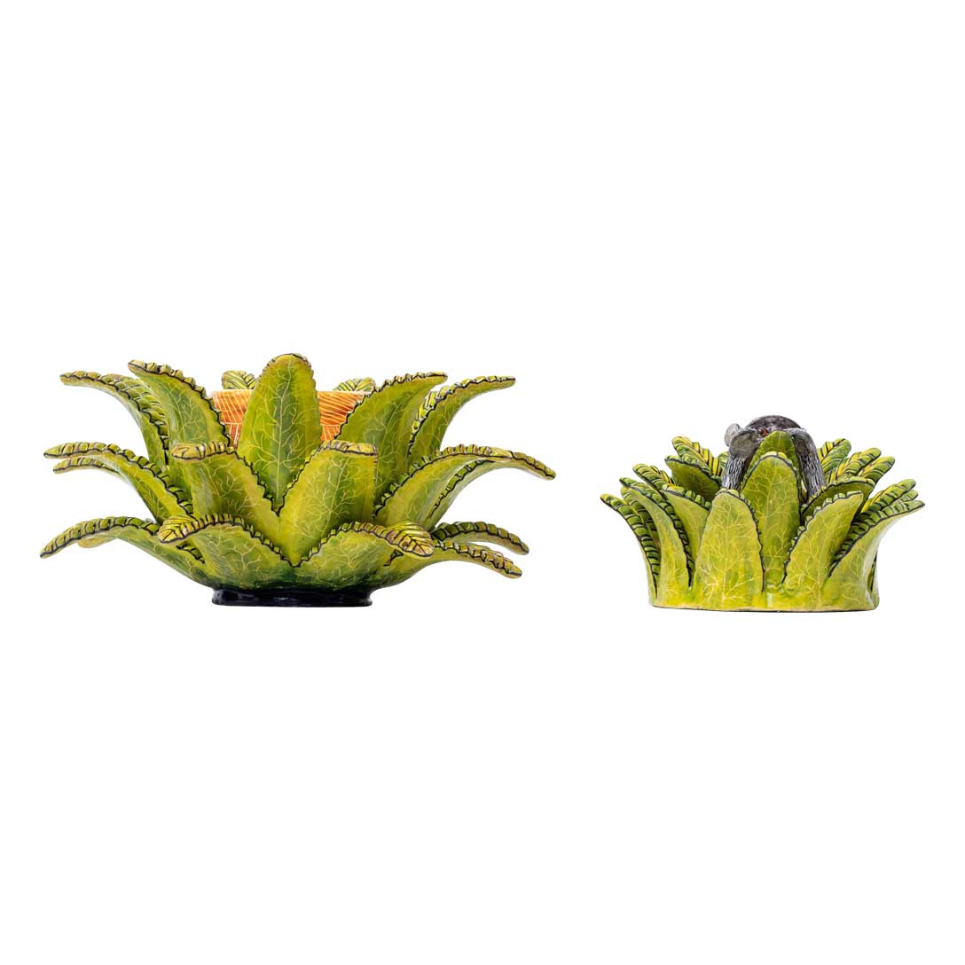 Aloe, monkey, green jewelry box
