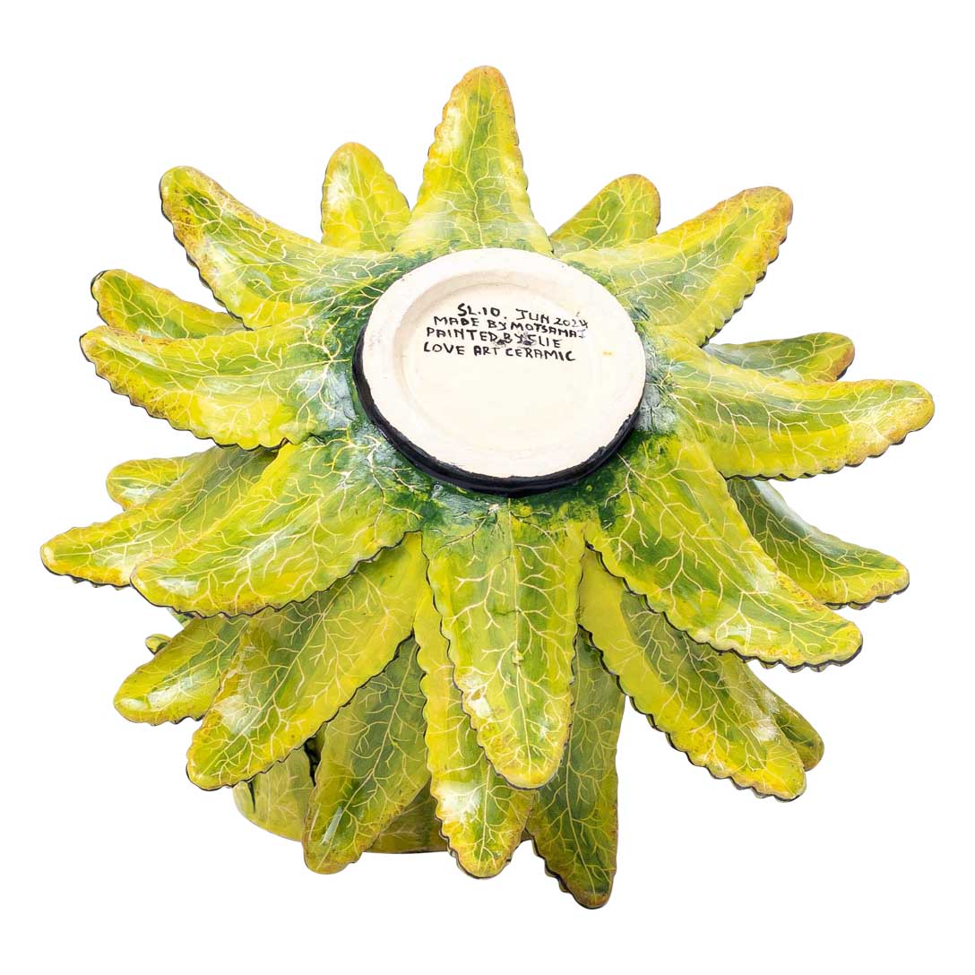 Aloe, monkey, green jewelry box