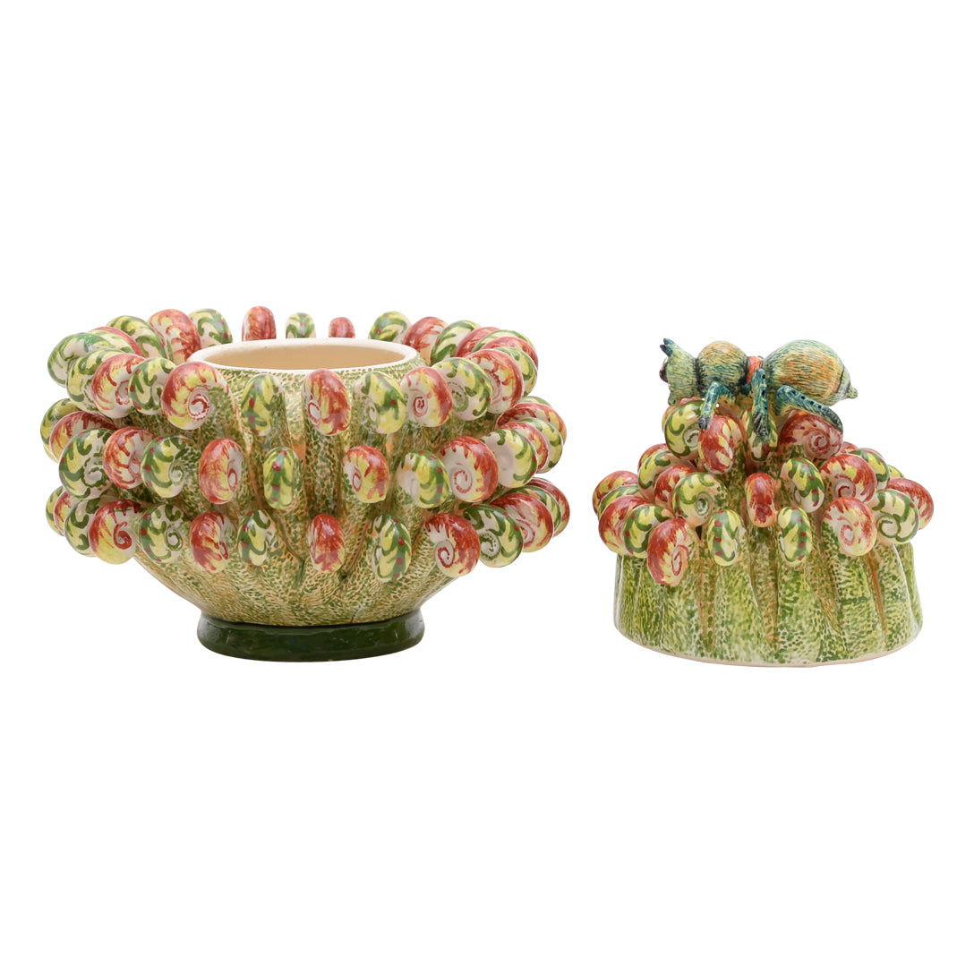 Protea, bug jewelry box