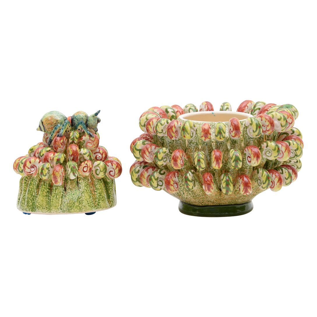 Protea, bug jewelry box