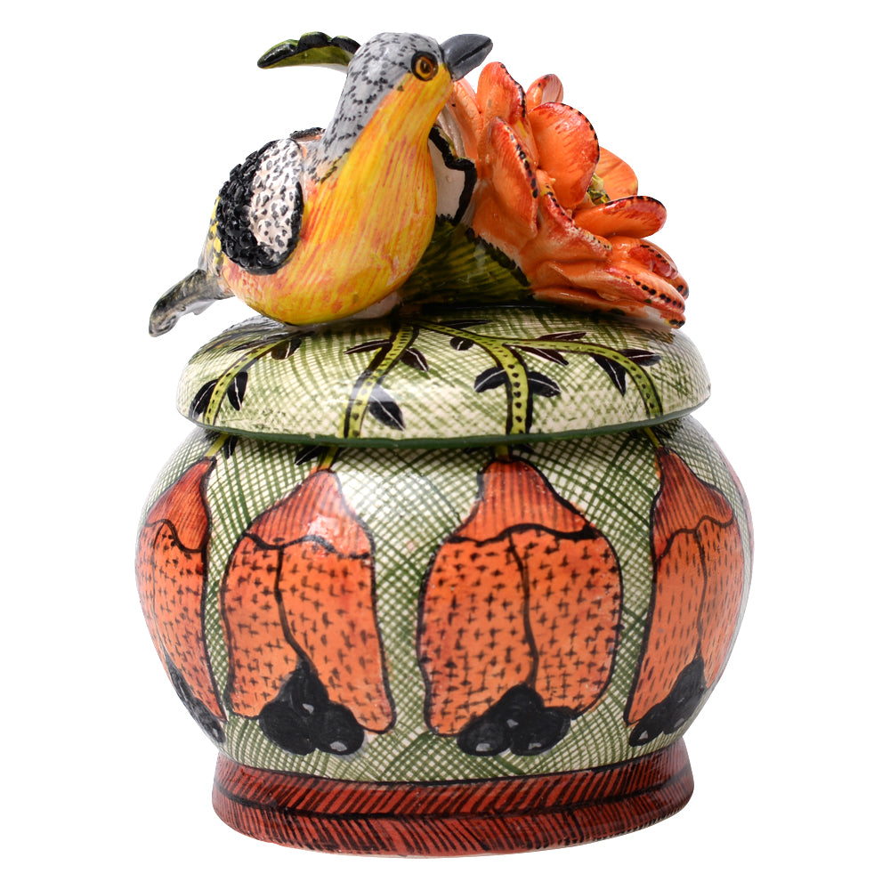 Bird novelty box