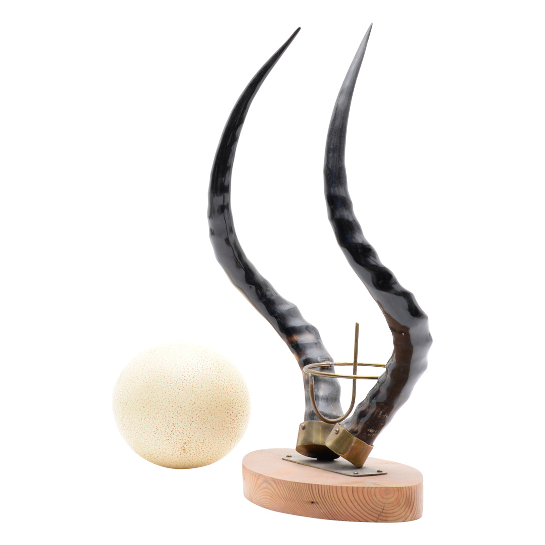 Ostrich egg impala horns