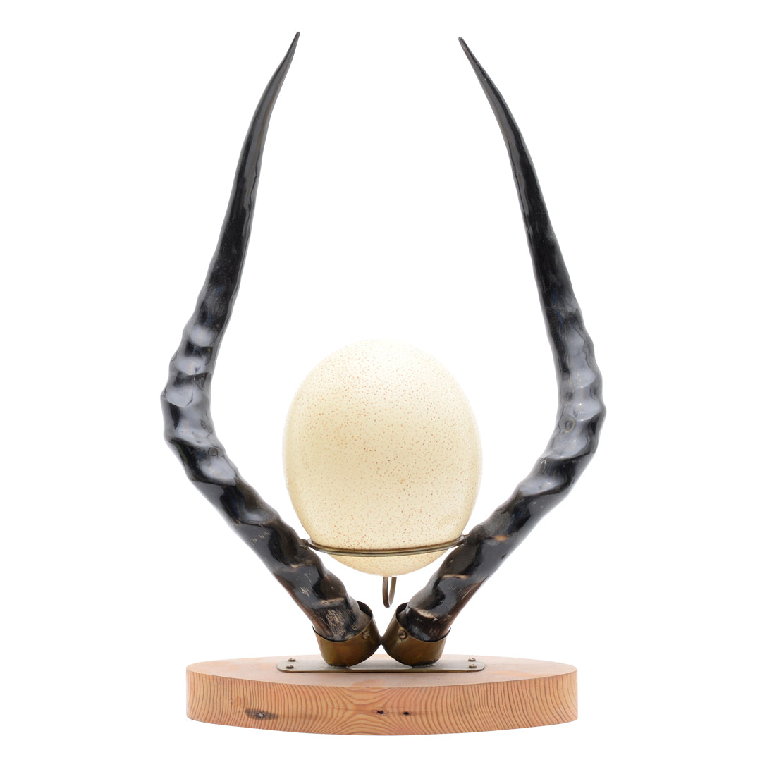 Ostrich egg impala horns