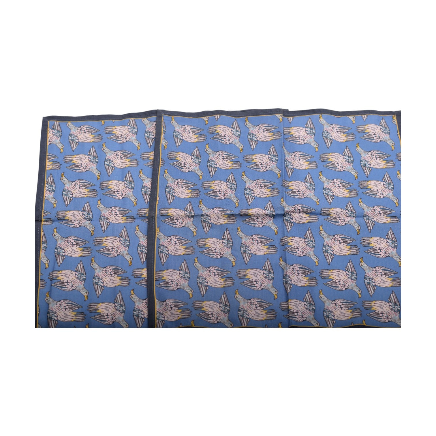 Bird kingfisher crossing