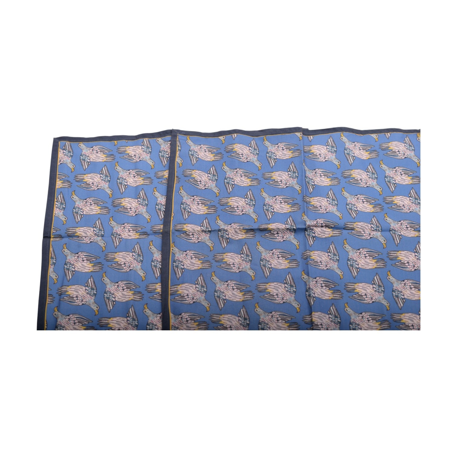 Bird kingfisher crossing