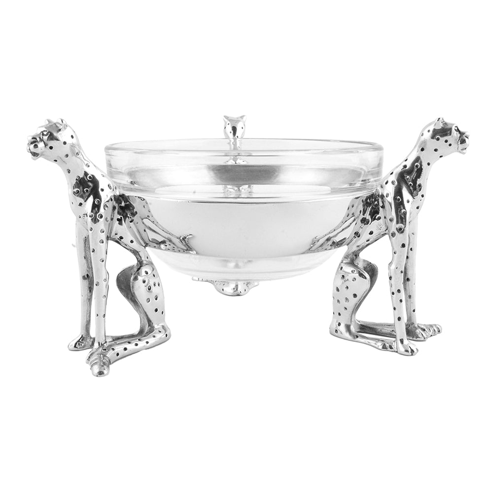 Cheetah sitting bowl