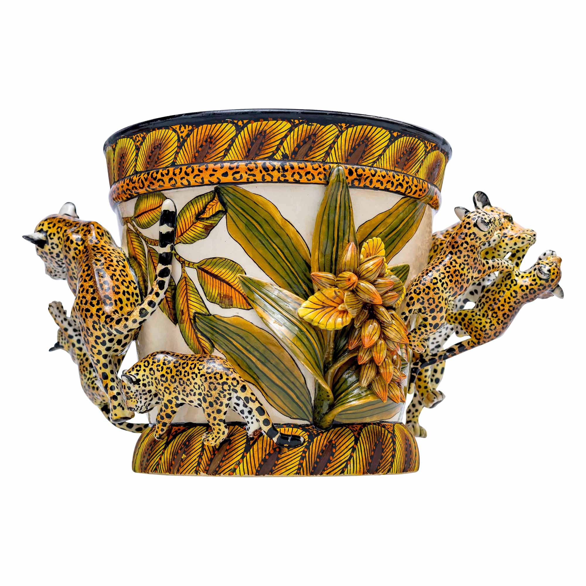 Leopard Pot Plant