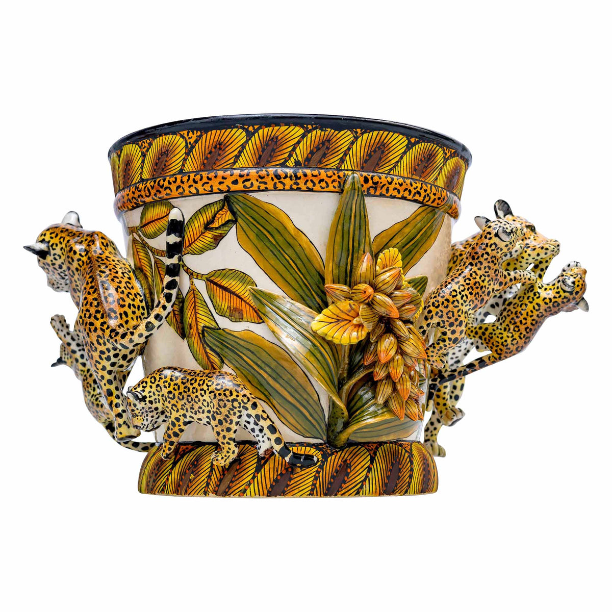 Leopard Pot Plant