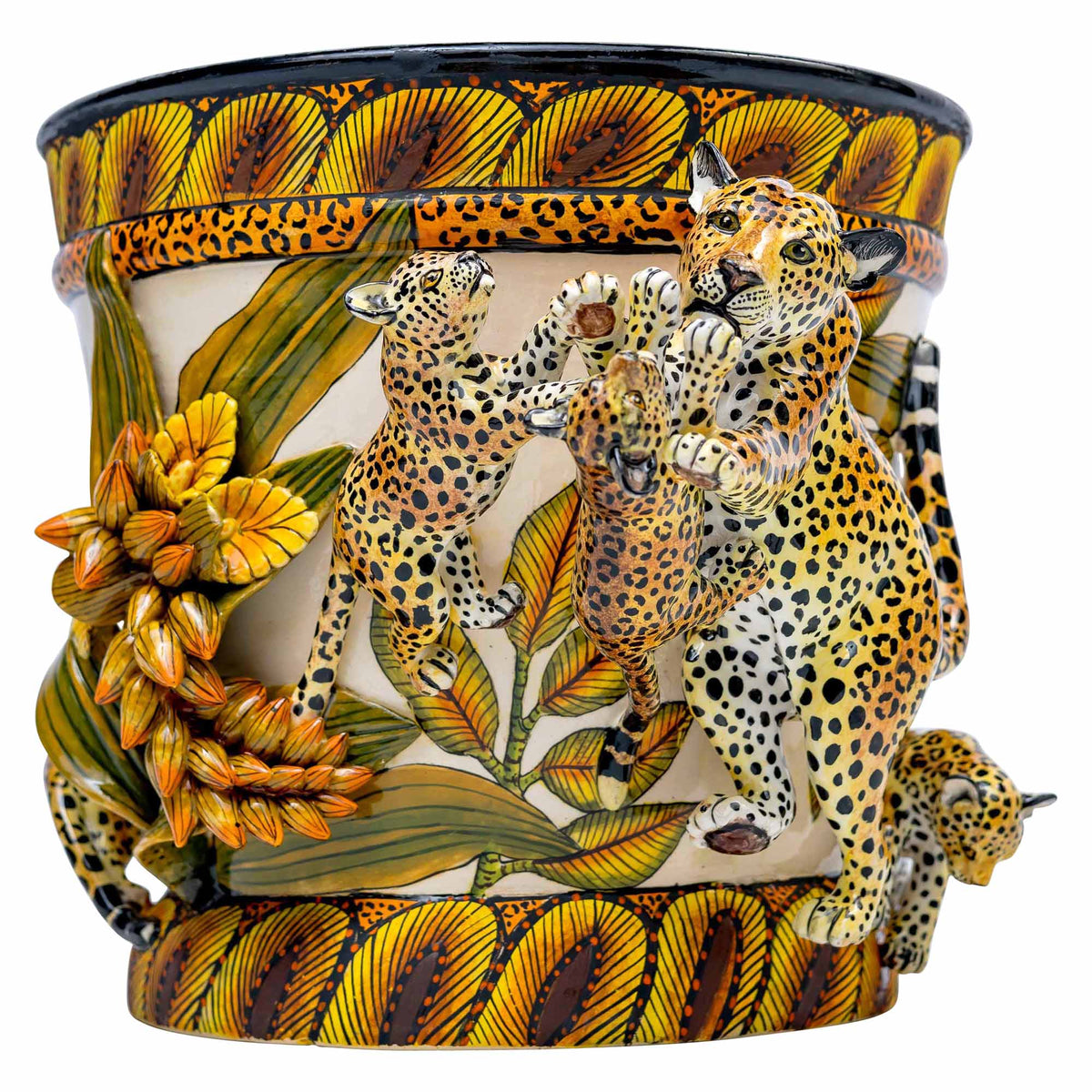 Leopard Pot Plant
