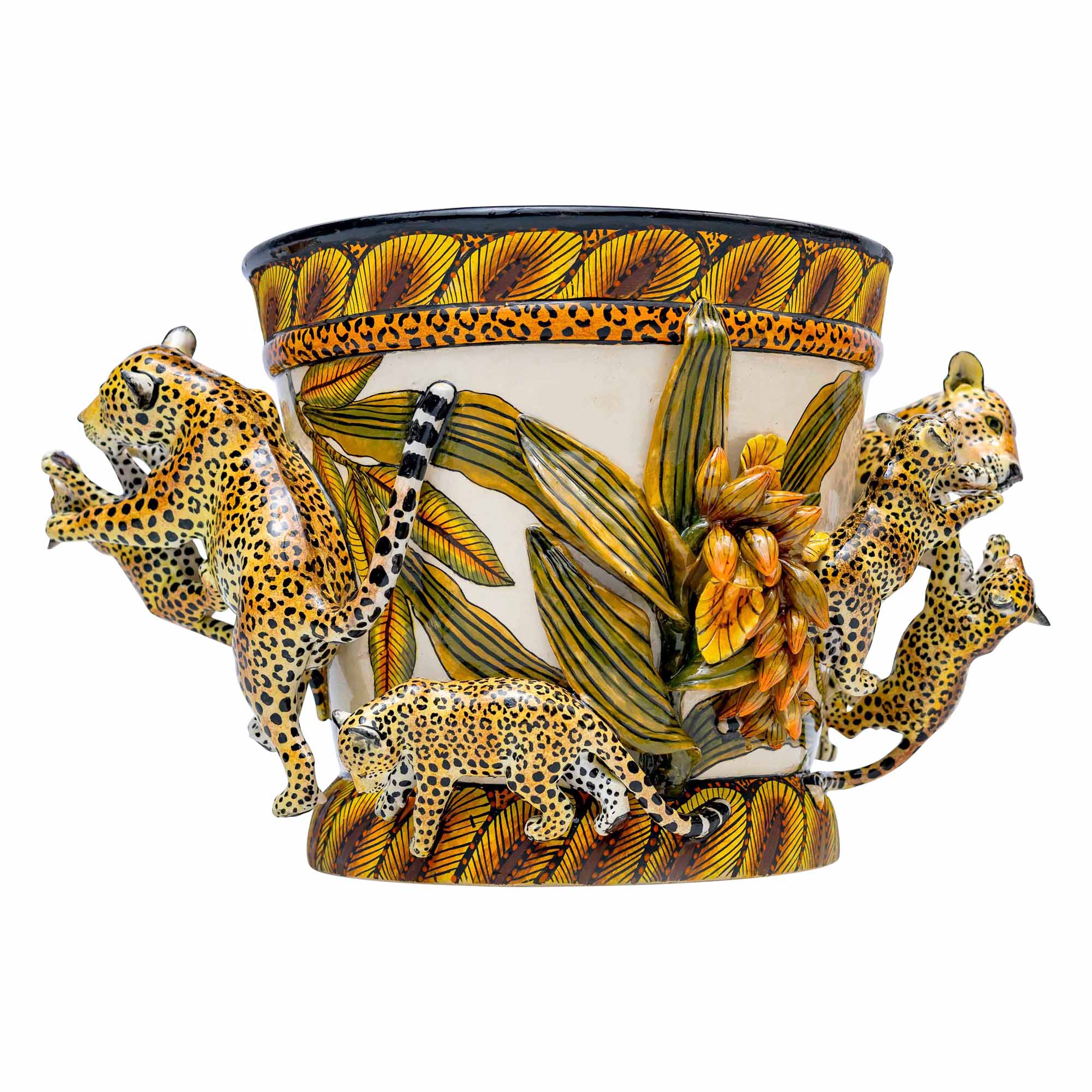 Leopard Pot Plant
