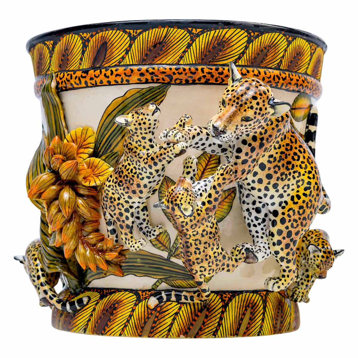 Leopard Pot Plant
