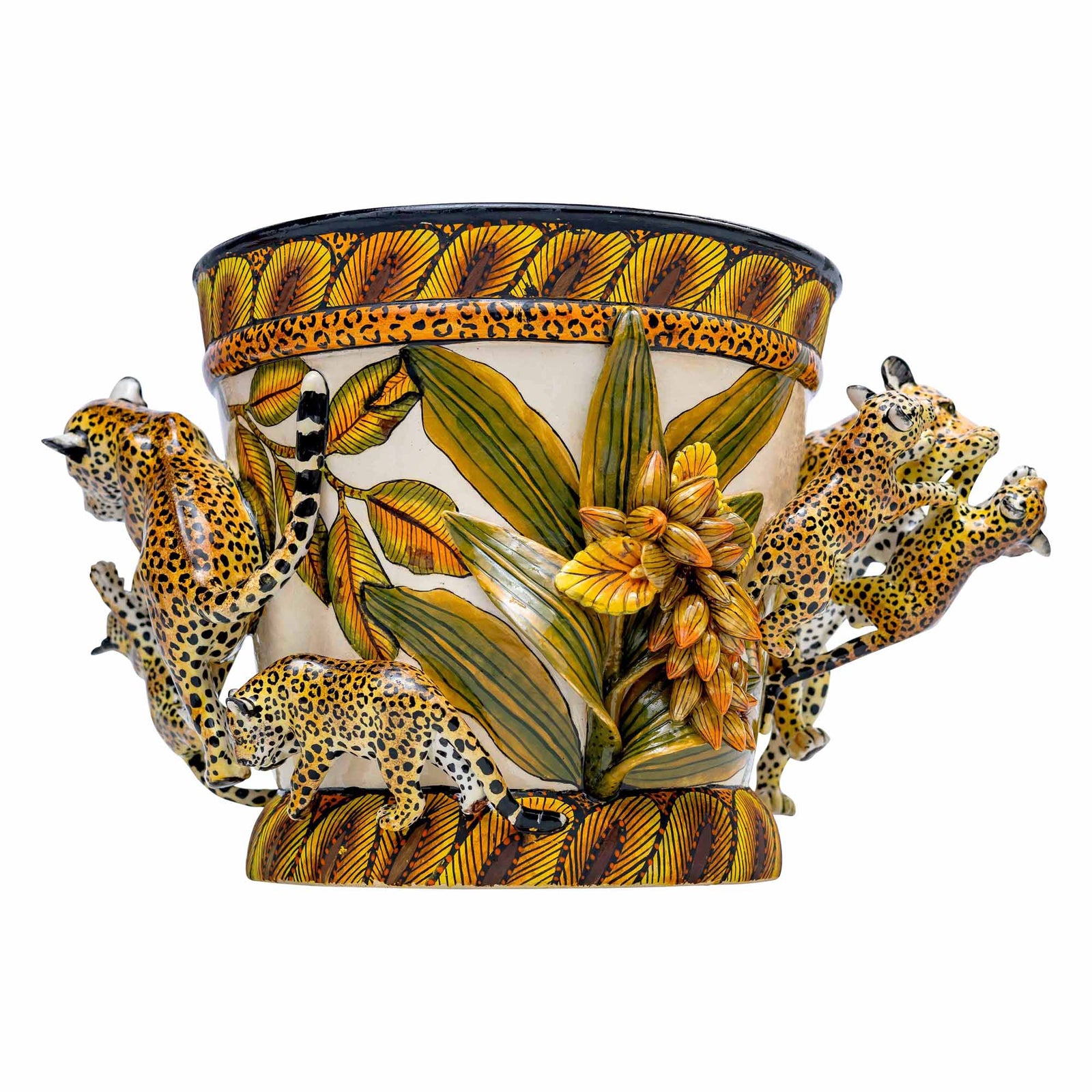 Leopard Pot Plant