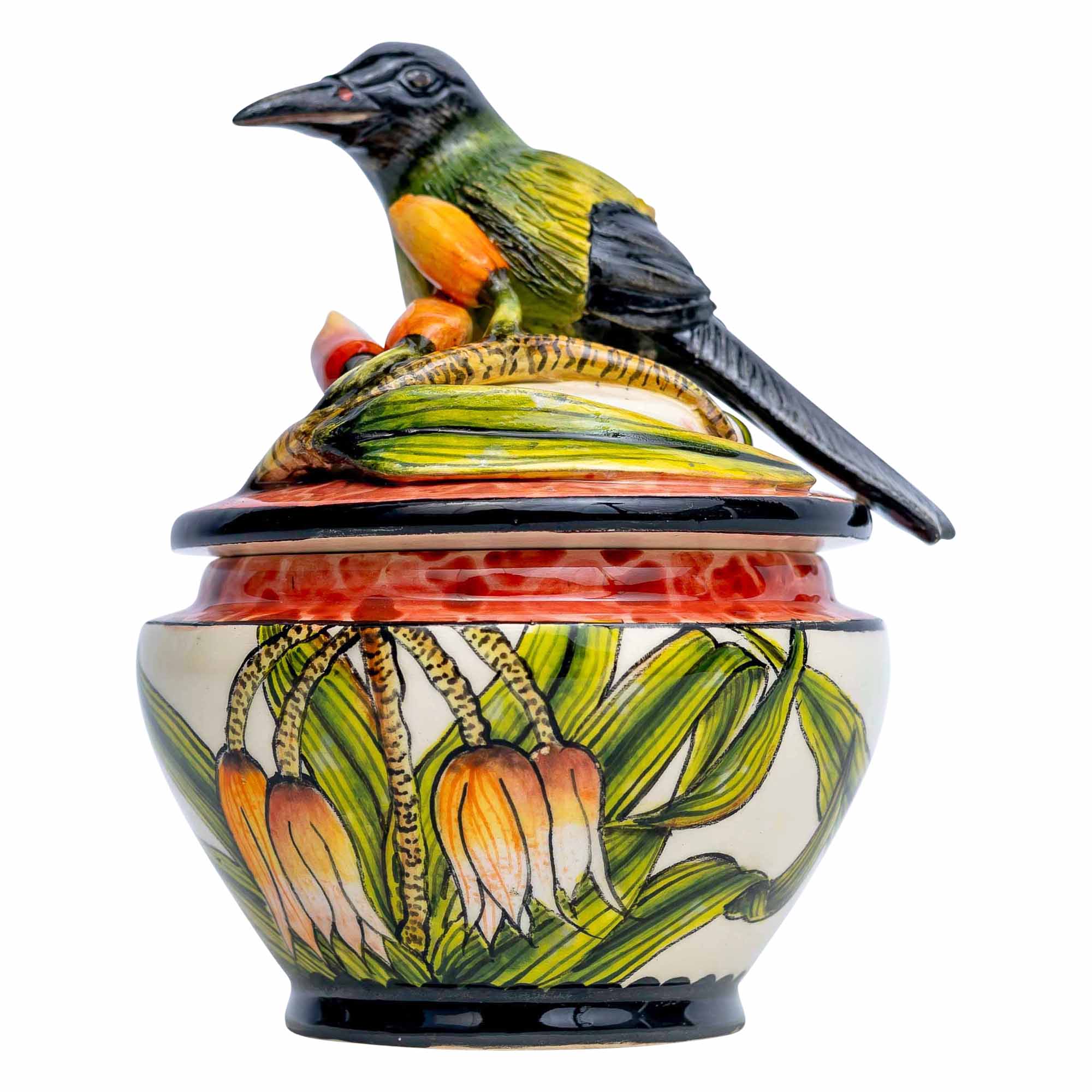 New Zealand Bellbird