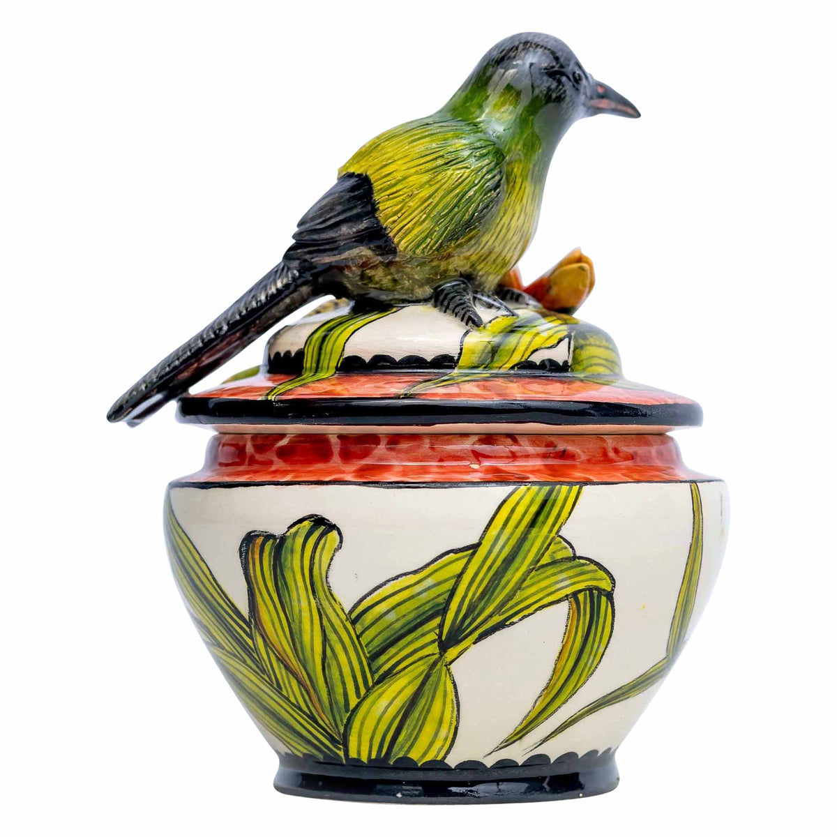 New Zealand Bellbird