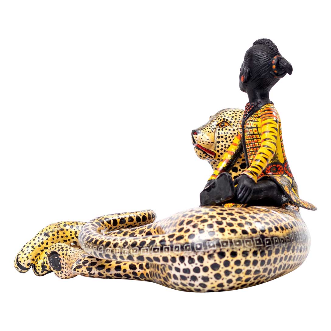 Cheetah rider