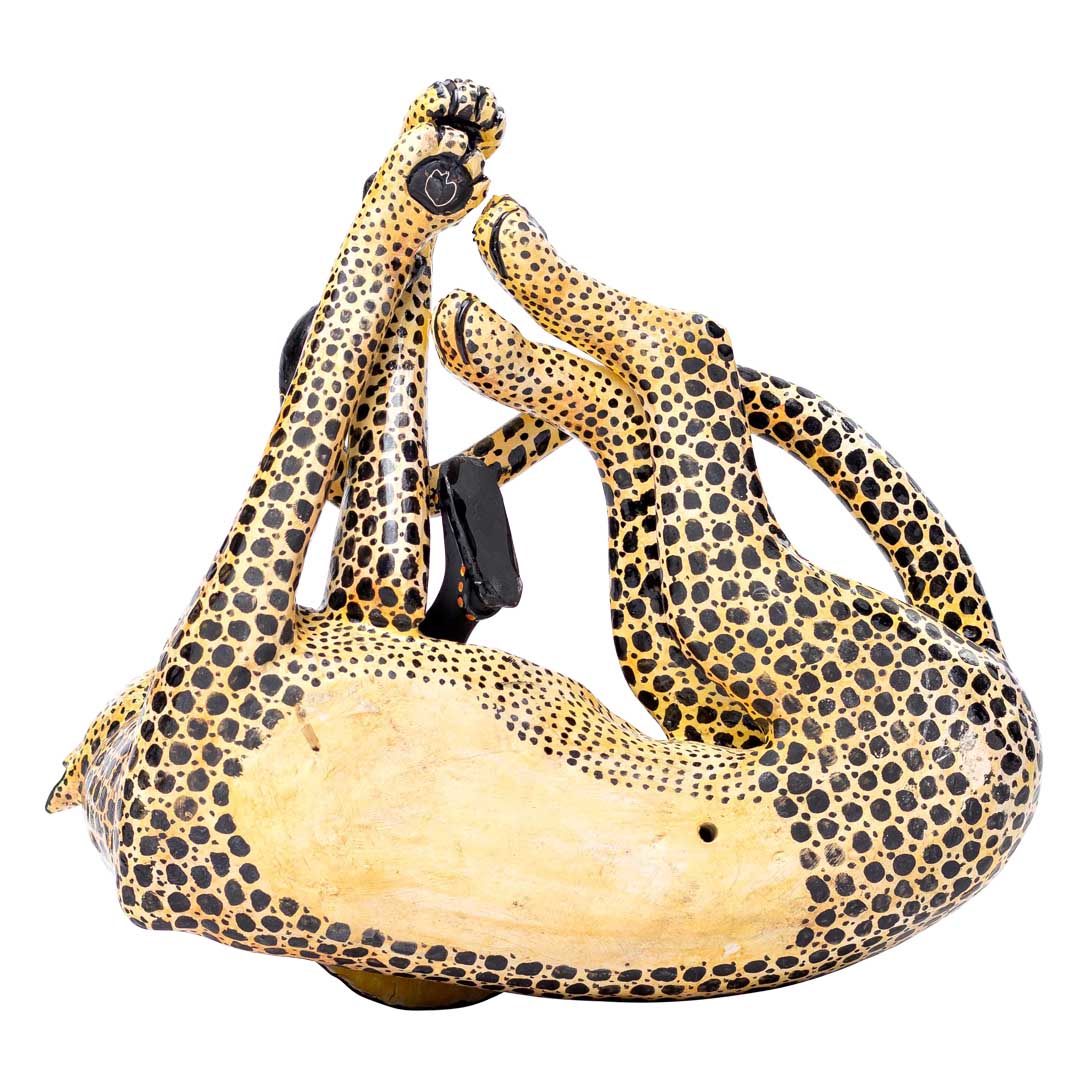 Cheetah rider
