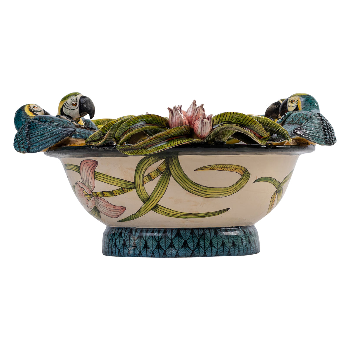 Parrot bowl