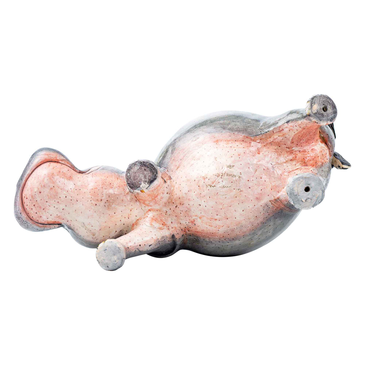 Hippo rider