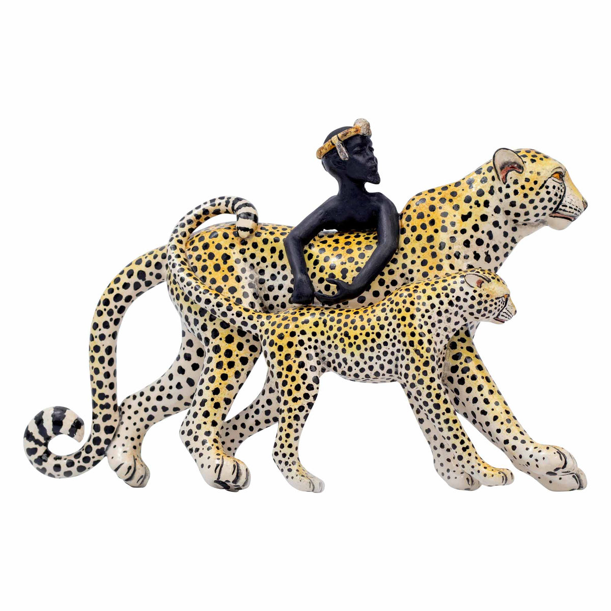 Cheetah Rider
