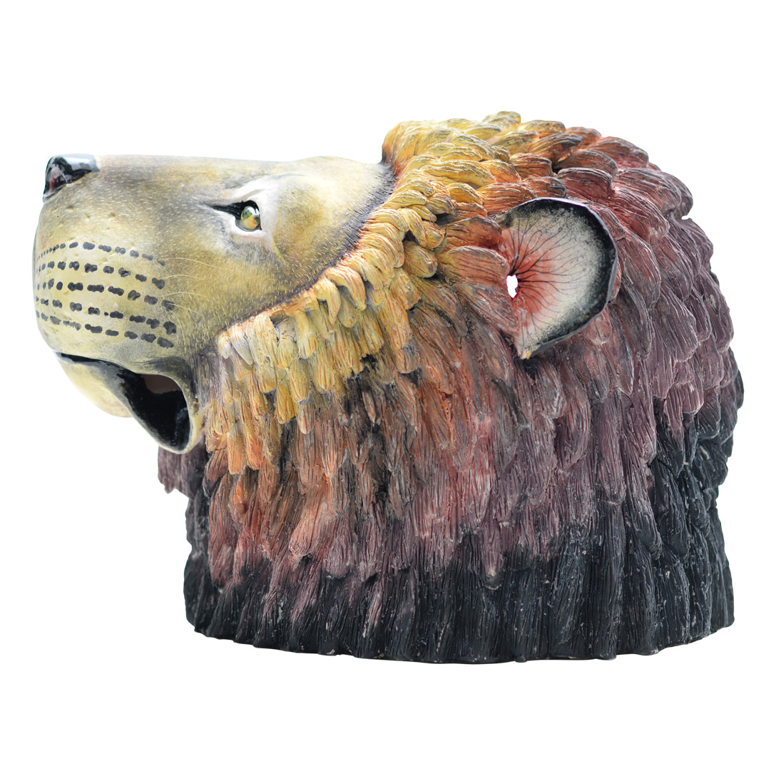 Lion Big Five