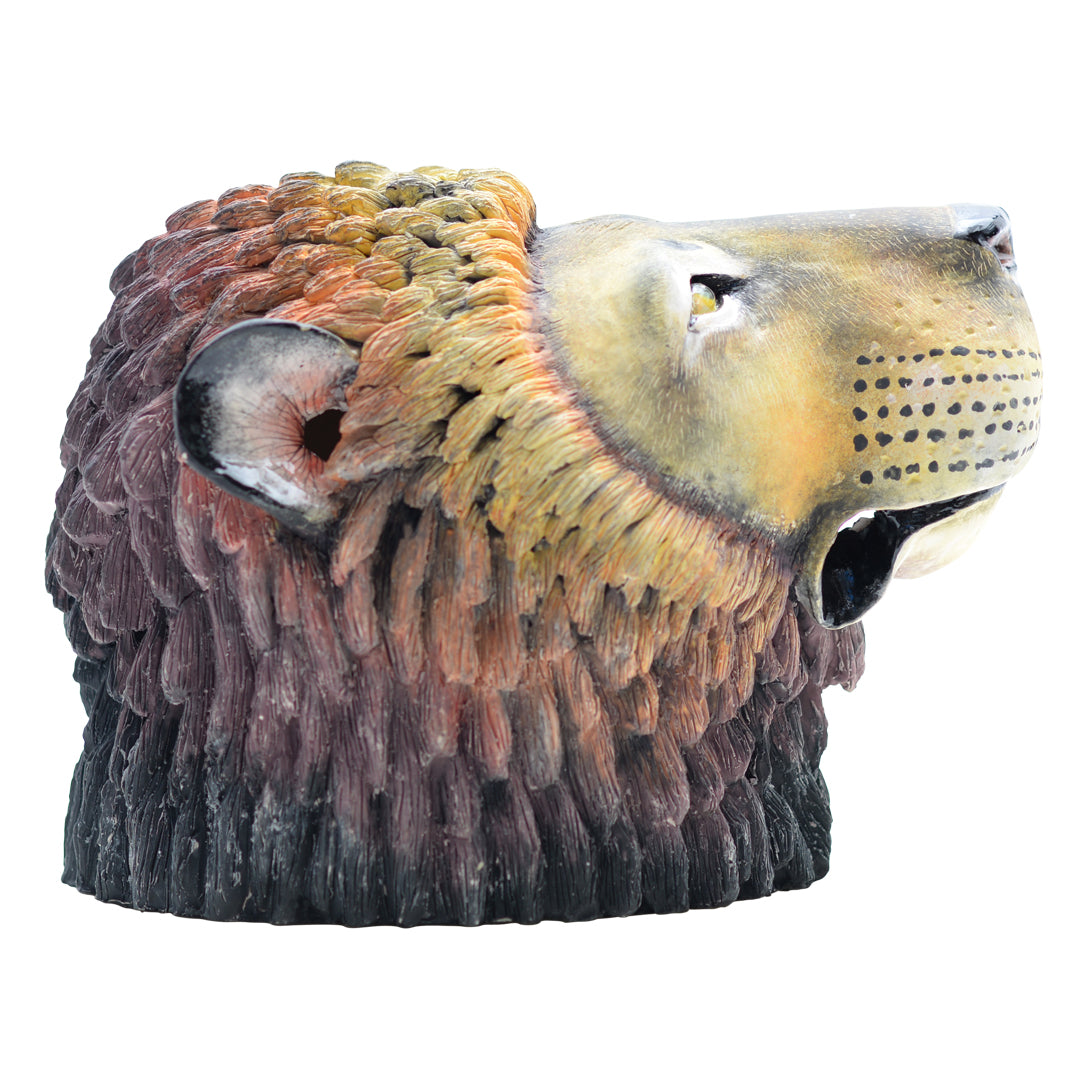Lion Big Five