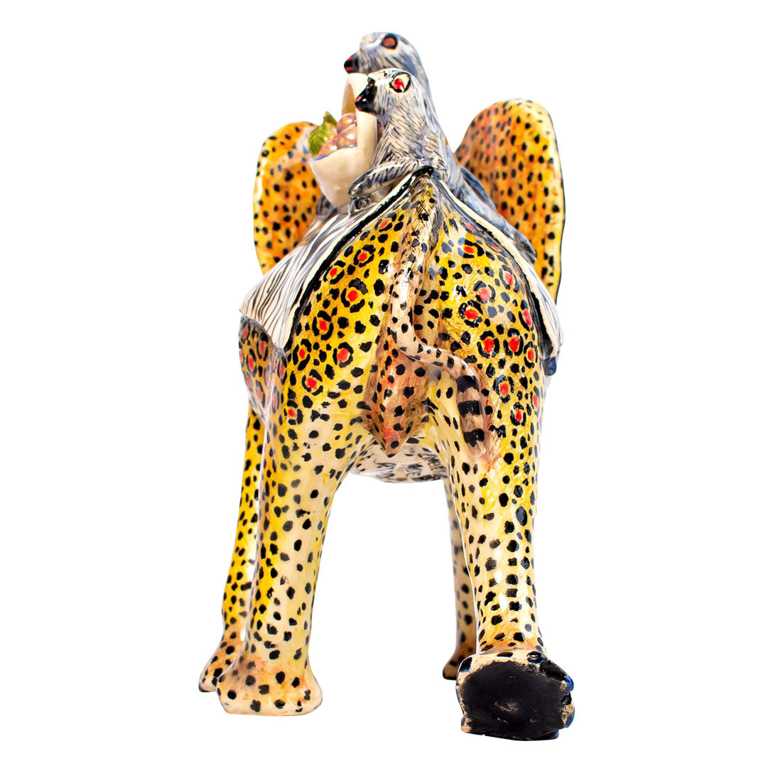 Leopard skin elephant rider