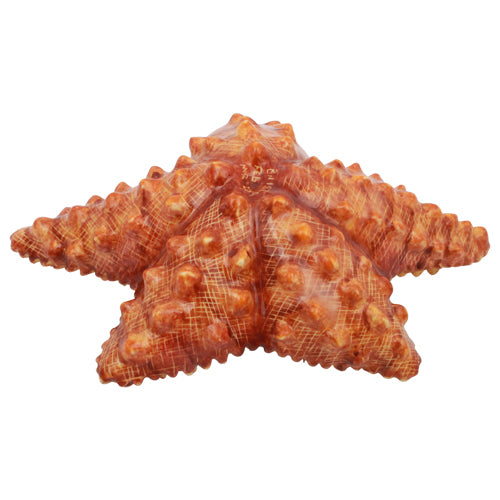 Star Fish Sculpture