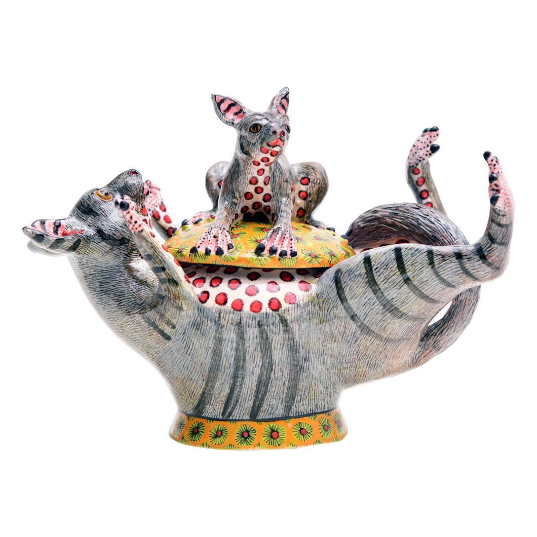 Bushbaby Novelty Box